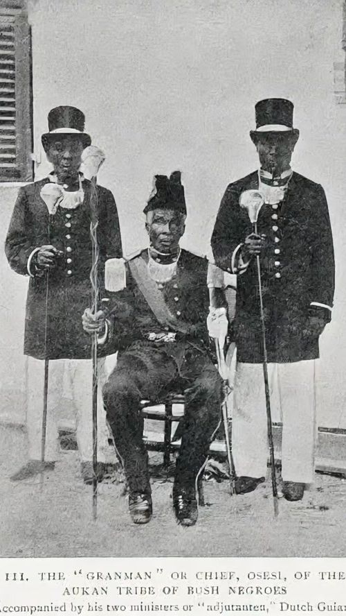 TikTok video thumbnail by albertsypenstein