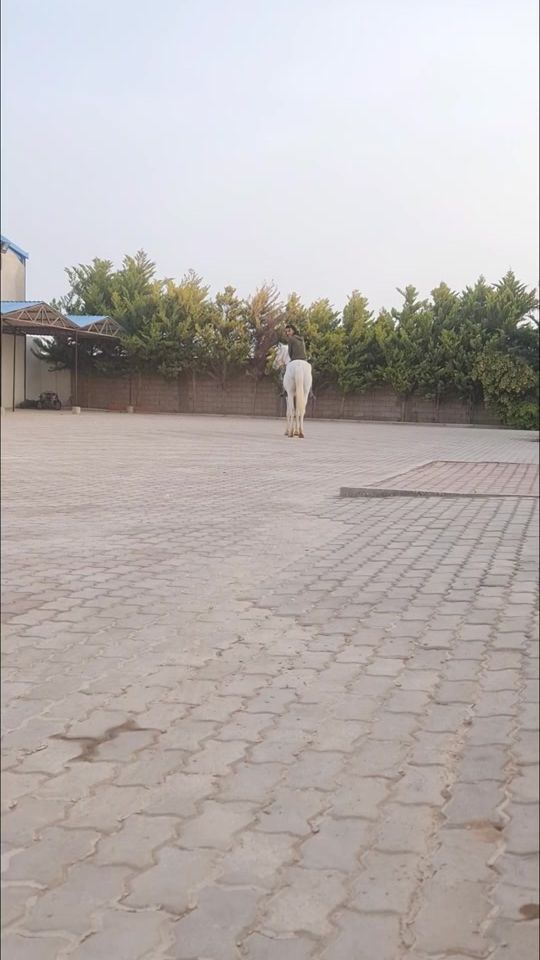 TikTok video thumbnail by user7551841249787