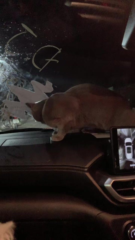 TikTok video thumbnail by maduperera93