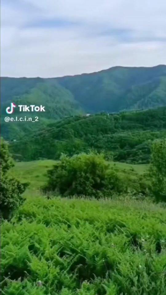 TikTok video thumbnail by e.l.c.i.n_2