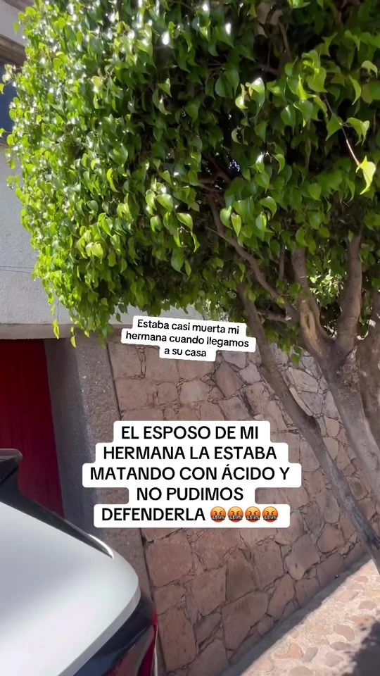 TikTok video thumbnail by carlo.maerker