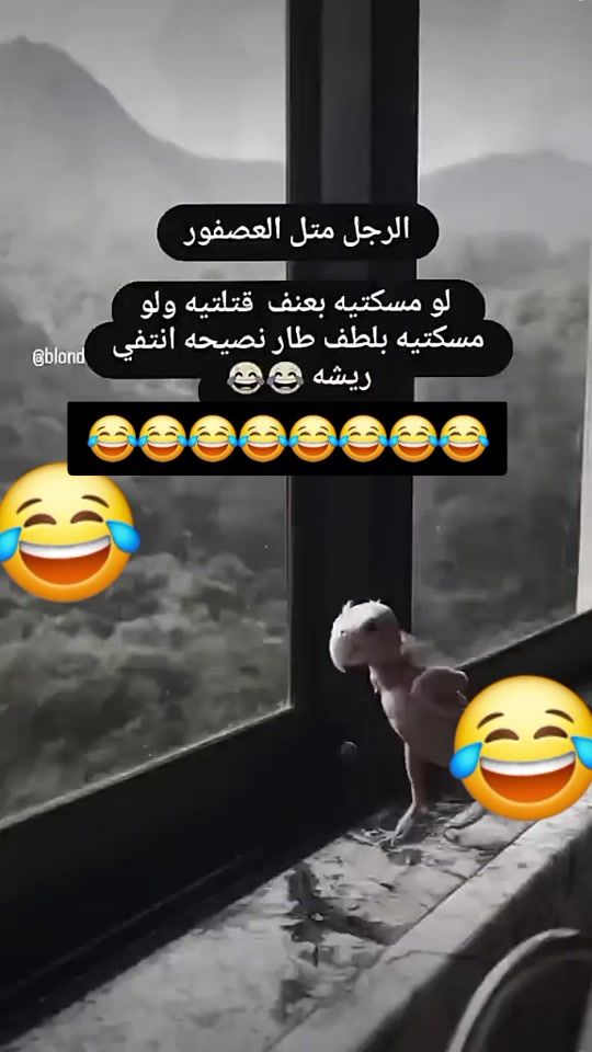 TikTok video thumbnail by soso_sosoo5