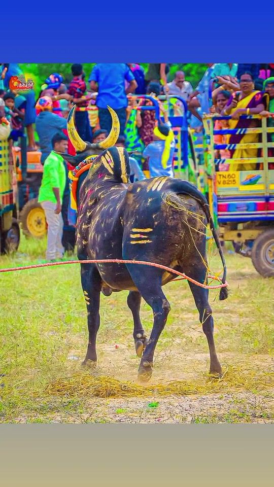 TikTok video thumbnail by muthu.kumar09