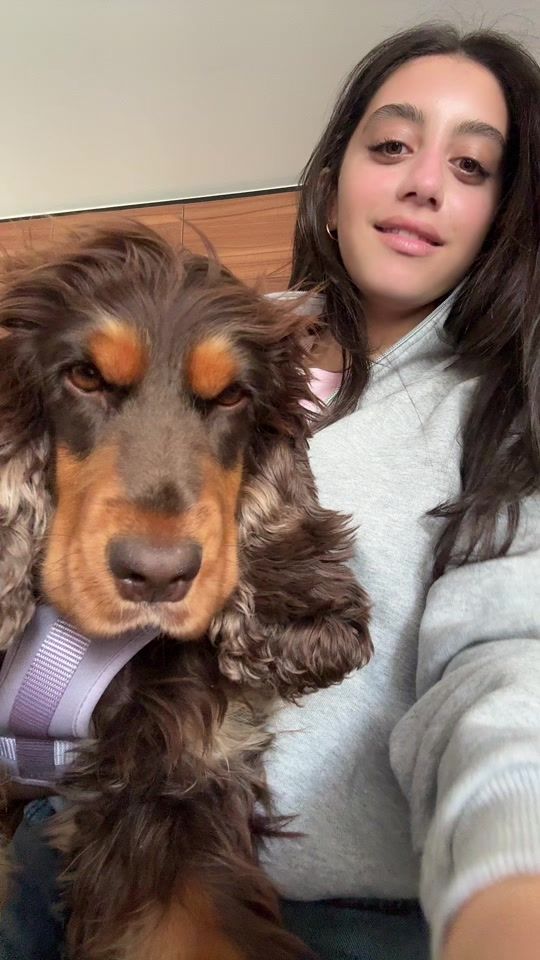 TikTok video thumbnail by yasminaelabd_