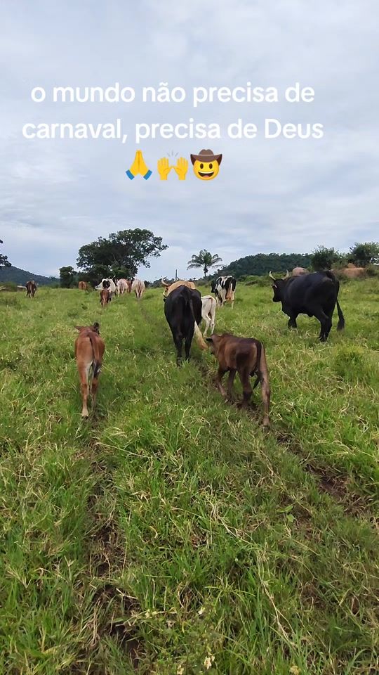 TikTok video thumbnail by romeritocosta0