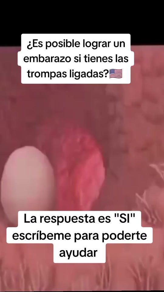 TikTok video thumbnail by adriana.g160