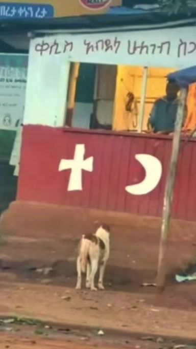 TikTok video thumbnail by .oldies1