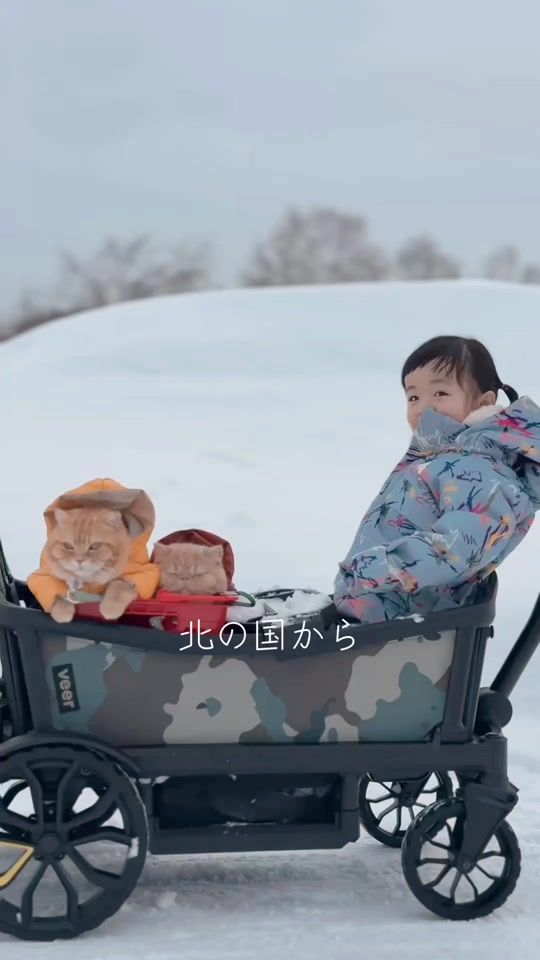 TikTok video thumbnail by hinamaruiro