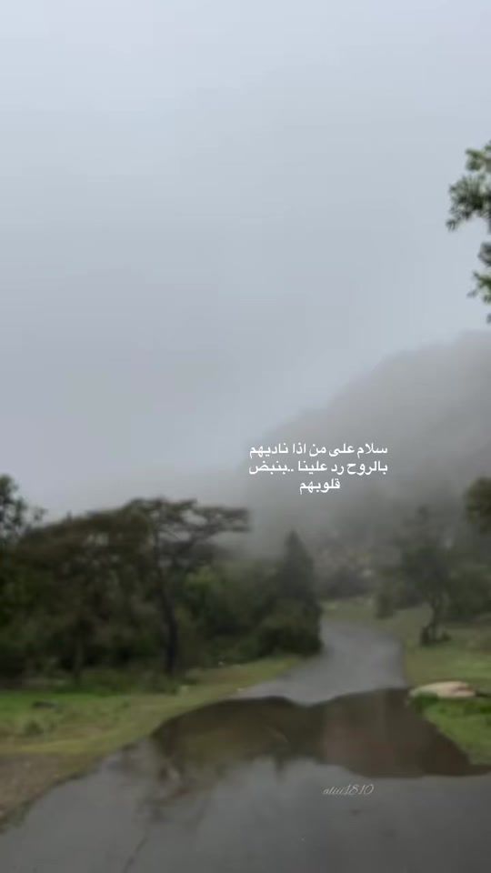 TikTok video thumbnail by 4321alk11