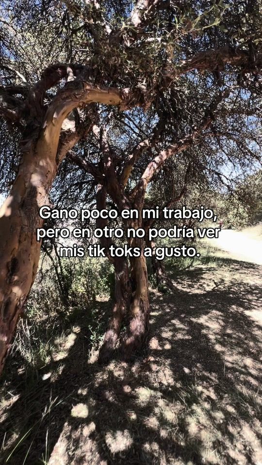 TikTok video thumbnail by gusvil