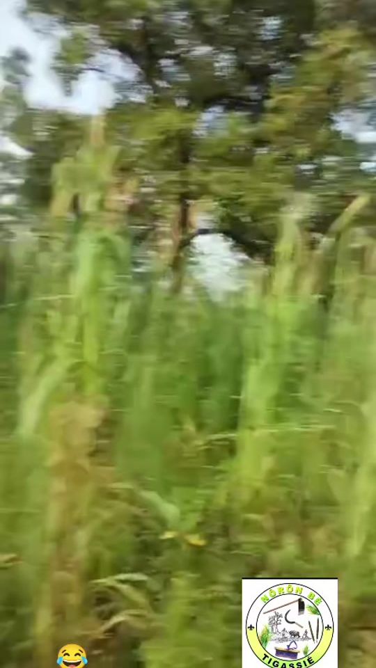 TikTok video thumbnail by bha.haidara