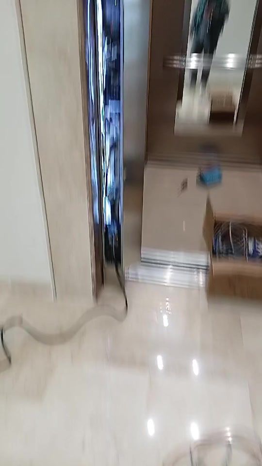 TikTok video thumbnail by ben_zarty