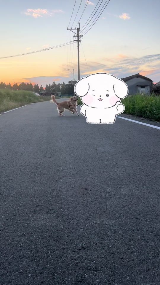 TikTok video thumbnail by user2160051585003