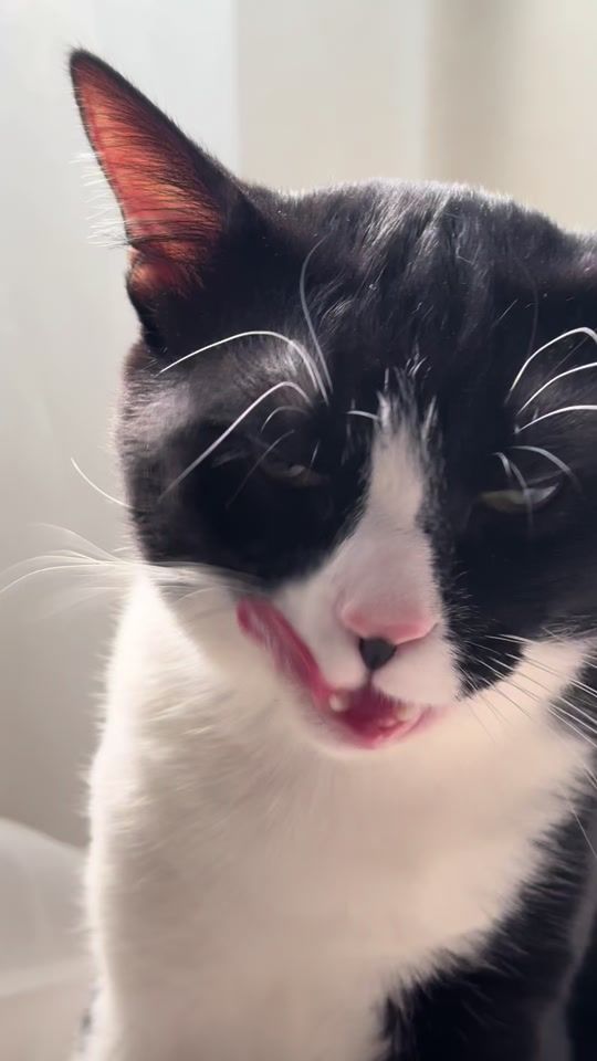 TikTok video thumbnail by faisapsmvzv
