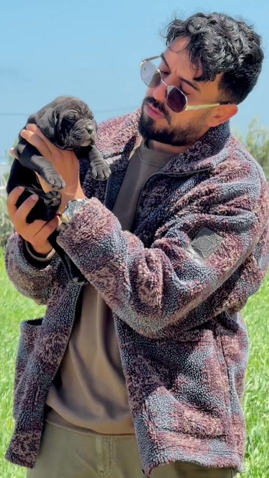 TikTok video thumbnail by achref_r_dog