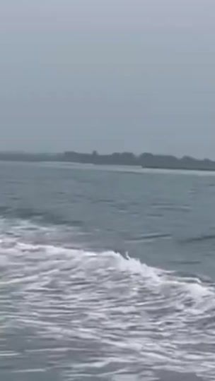 TikTok video thumbnail by bwt.show.stopper