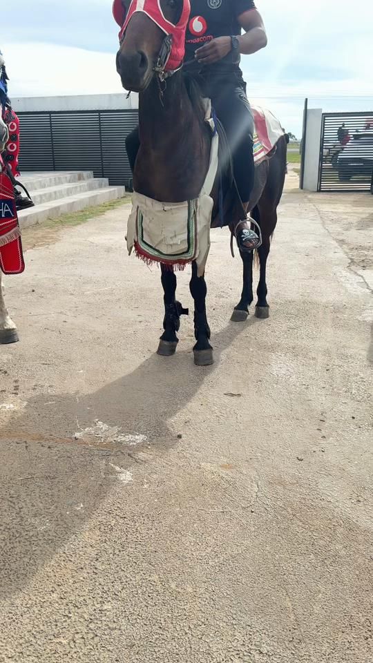 TikTok video thumbnail by luckylekgwathi14