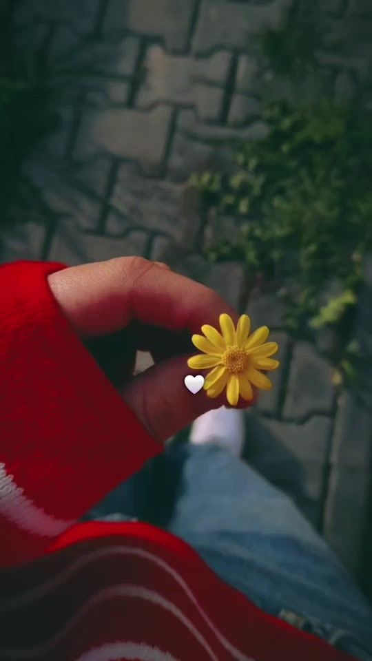 TikTok video thumbnail by mari.luz1682