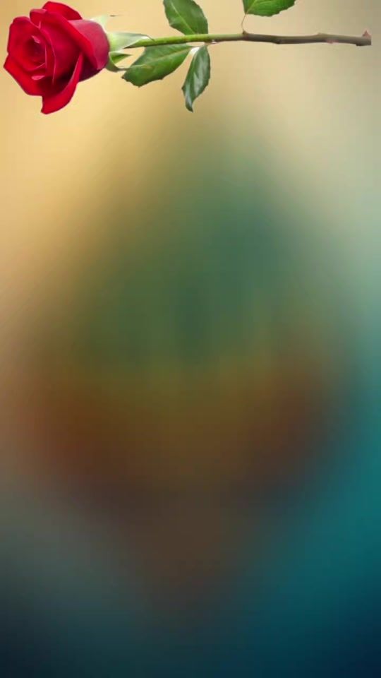 TikTok video thumbnail by zain0806202021