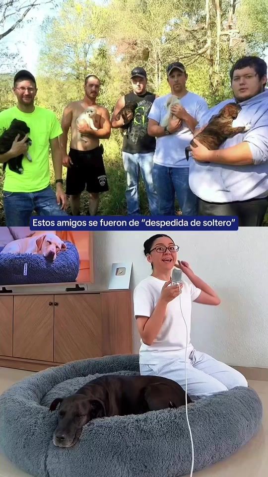 TikTok video thumbnail by furbedz