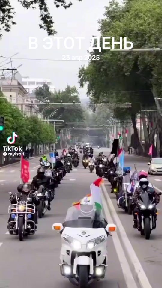 TikTok video thumbnail by frenk_palermo