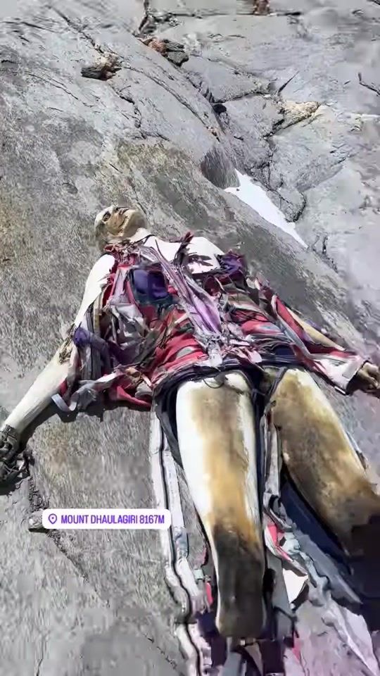 TikTok video thumbnail by elyor_xamroyev