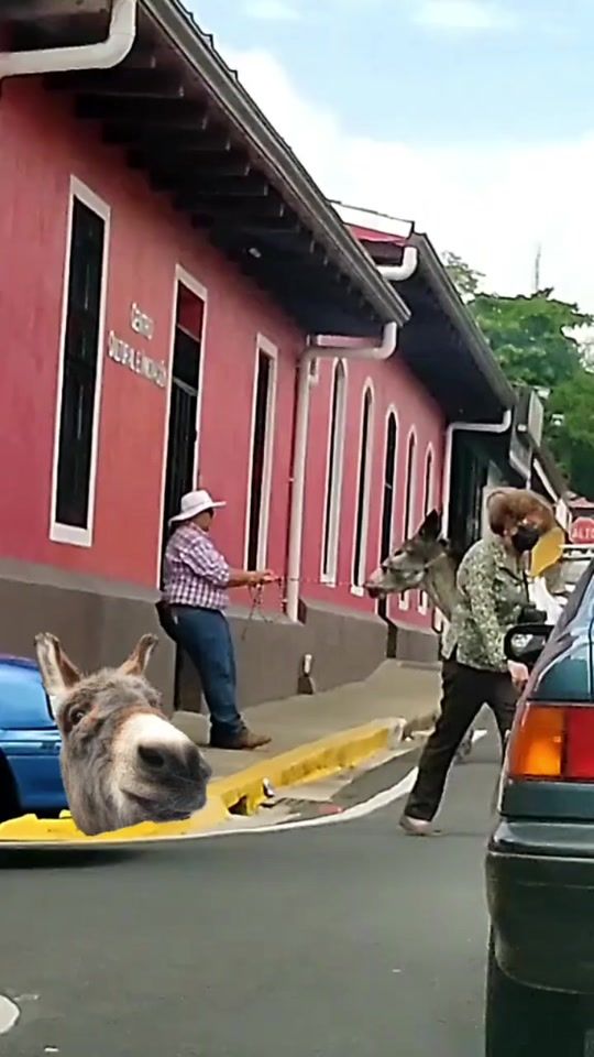TikTok video thumbnail by pongaatencion