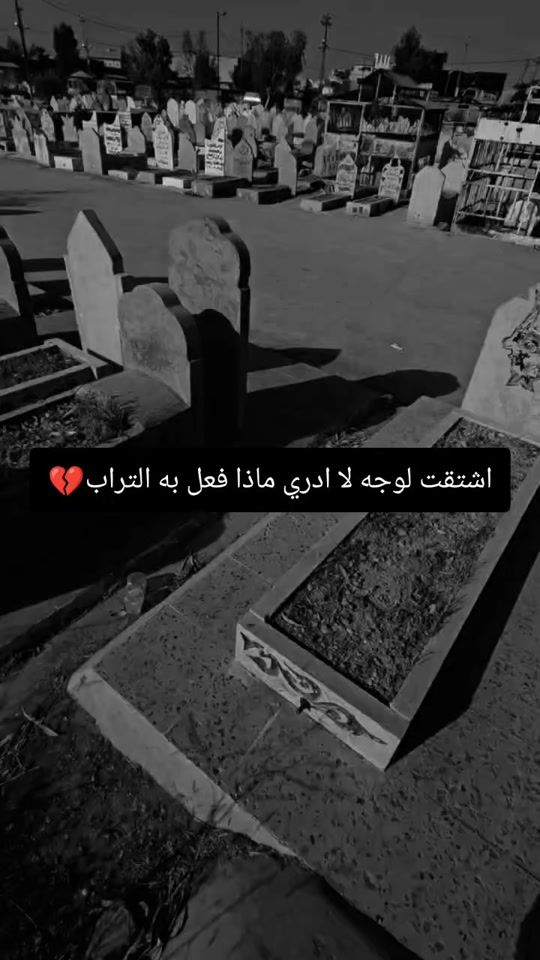 TikTok video thumbnail by sase_rr