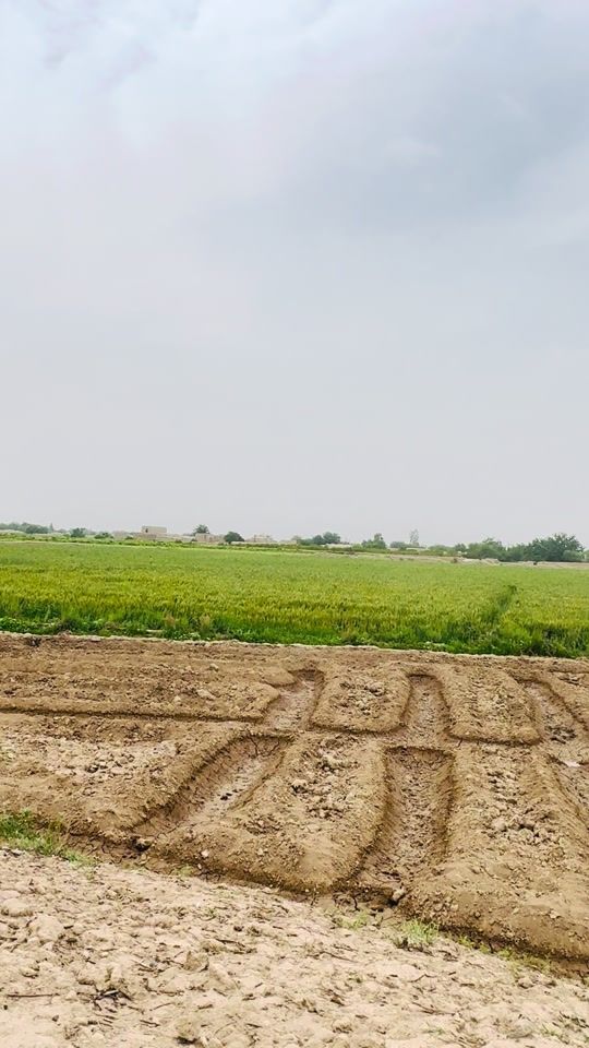 TikTok video thumbnail by syedshahpopal