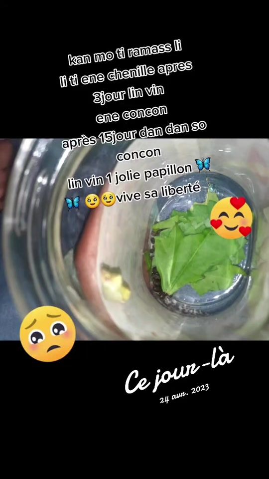 TikTok video thumbnail by rianezoel
