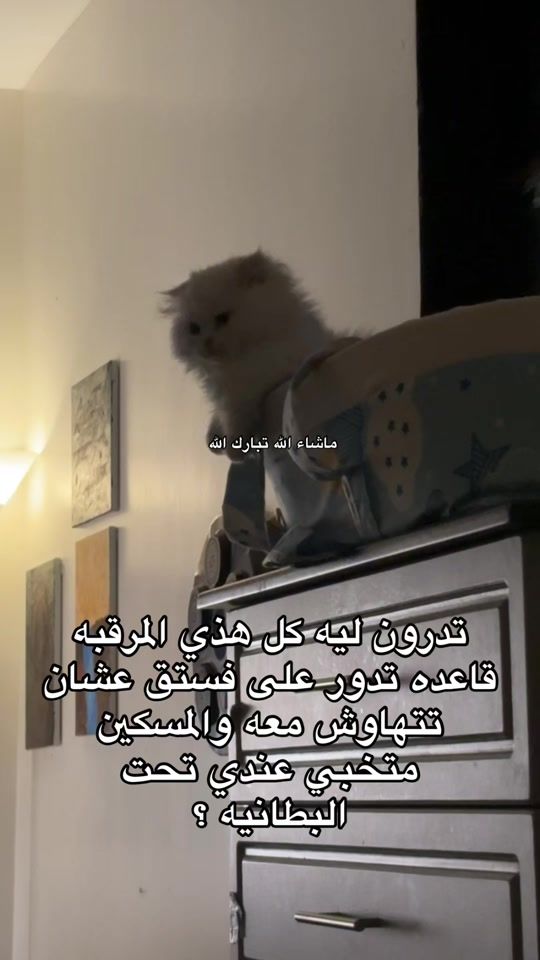 TikTok video thumbnail by ivioo3