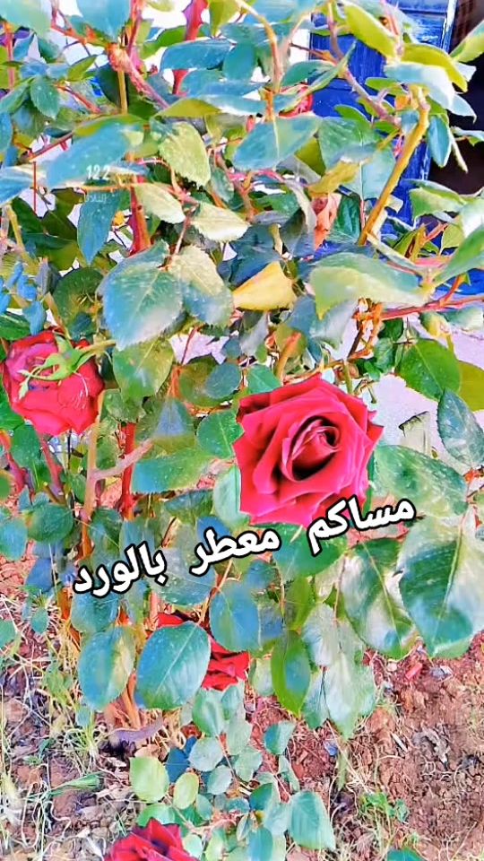 TikTok video thumbnail by ss___20251