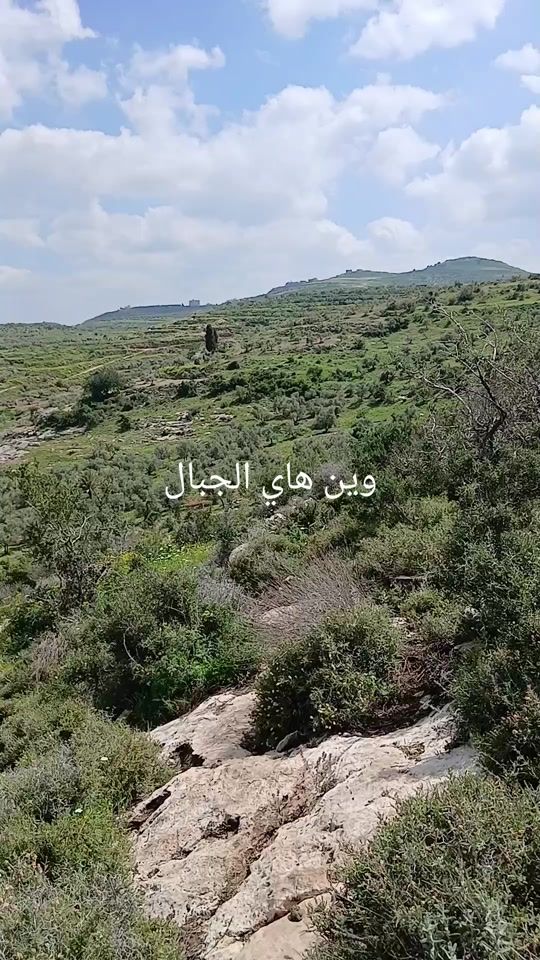 TikTok video thumbnail by saeedhijjih