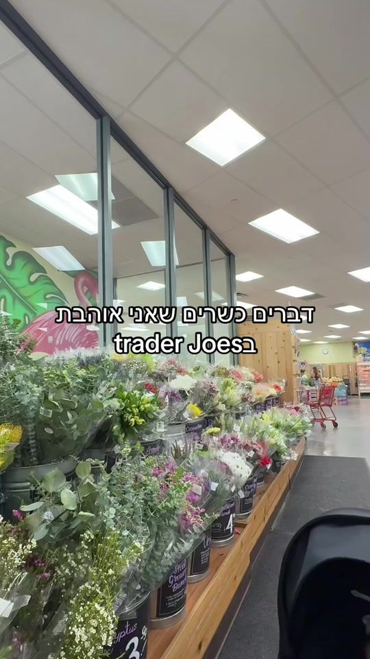 TikTok video thumbnail by moria_shemesh