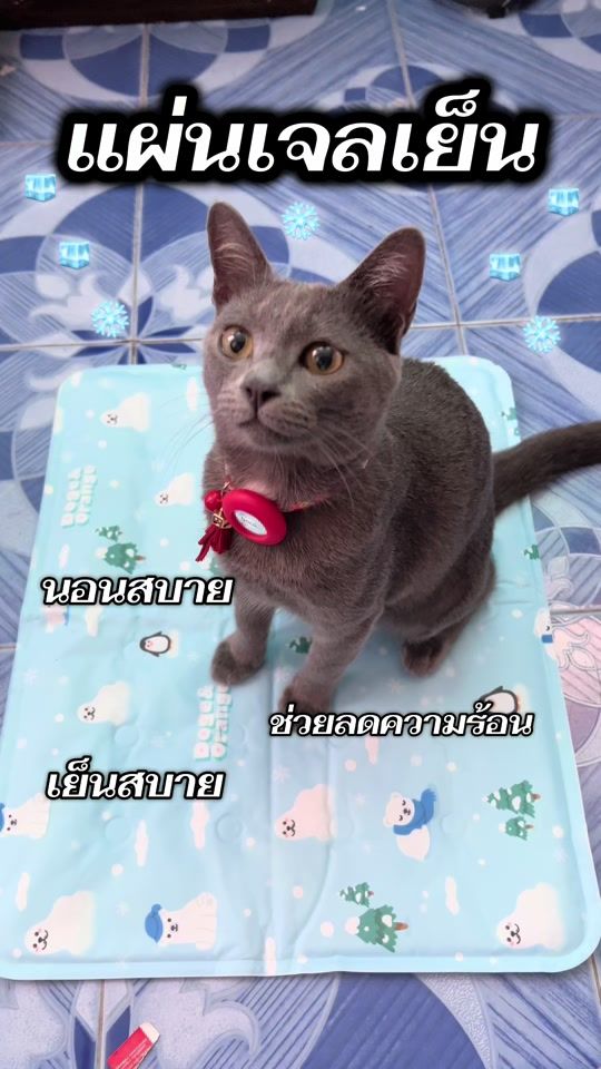 TikTok video thumbnail by sao_saowalak_