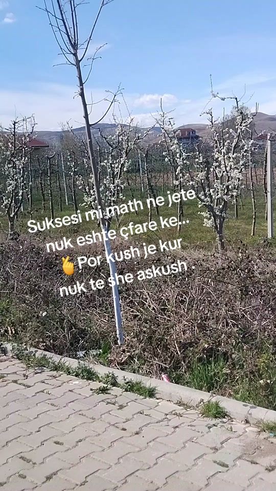 TikTok video thumbnail by gocafshatare