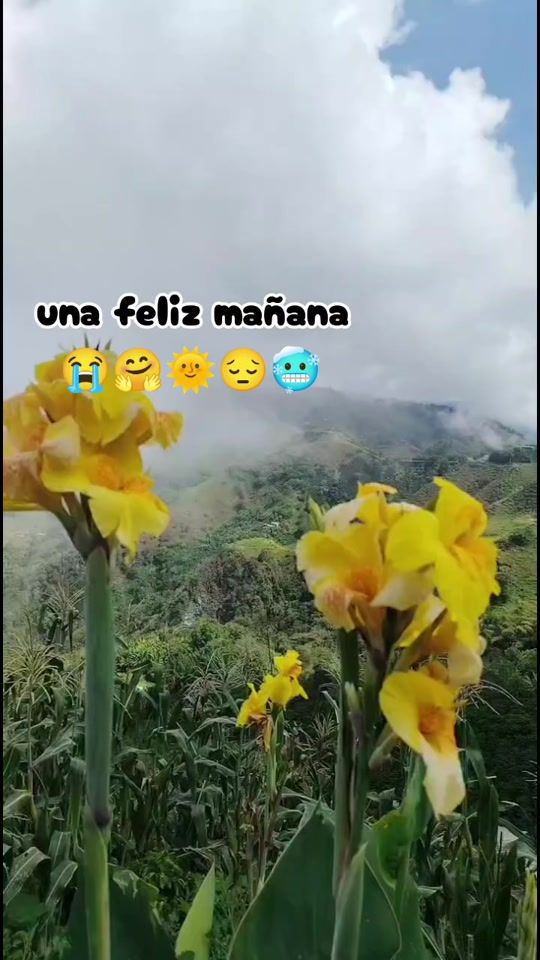 TikTok video thumbnail by yuli_samora