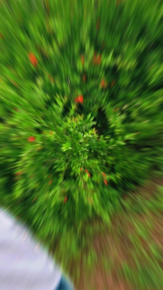 TikTok video thumbnail by thekinge_42