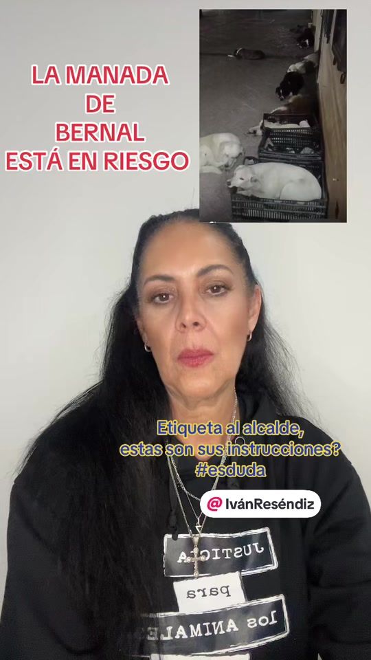 TikTok video thumbnail by soytuvoz0
