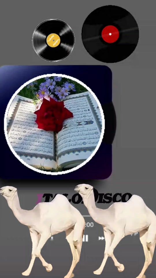TikTok video thumbnail by .145.1