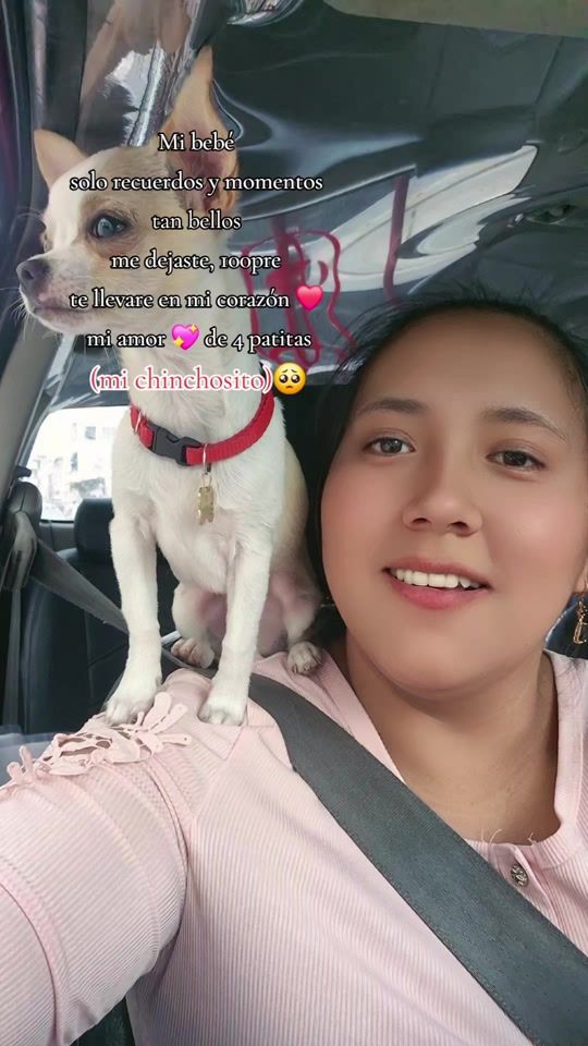 TikTok video thumbnail by choliita.g