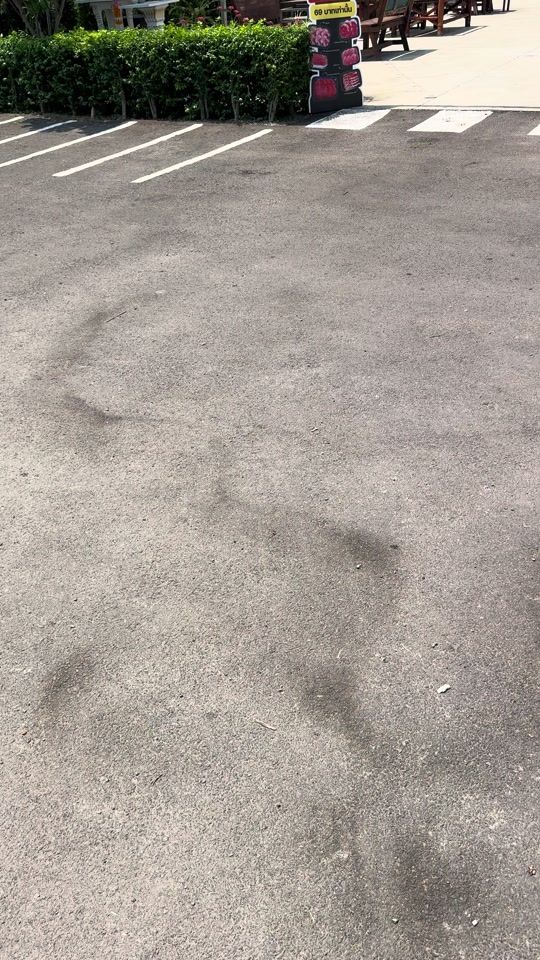 TikTok video thumbnail by joi_indy