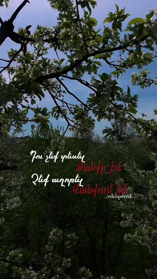 TikTok video thumbnail by _.whispered._