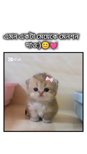 TikTok video thumbnail by rifate1000