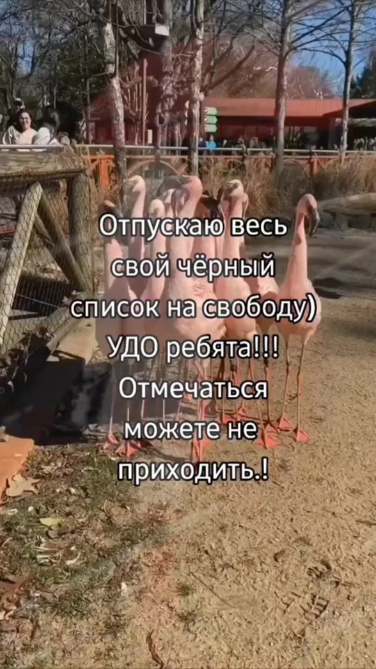 TikTok video thumbnail by miss_tvoy_kapriz