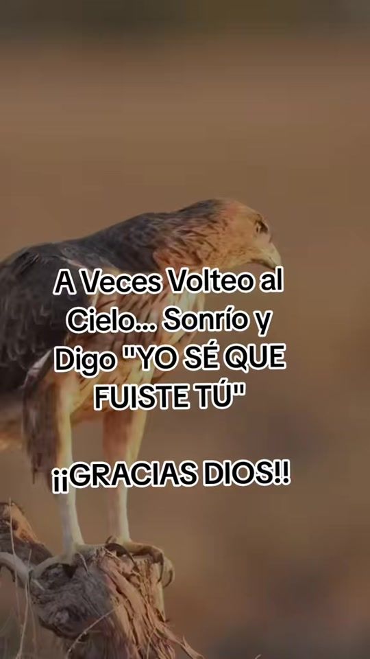 TikTok video thumbnail by dari.peru