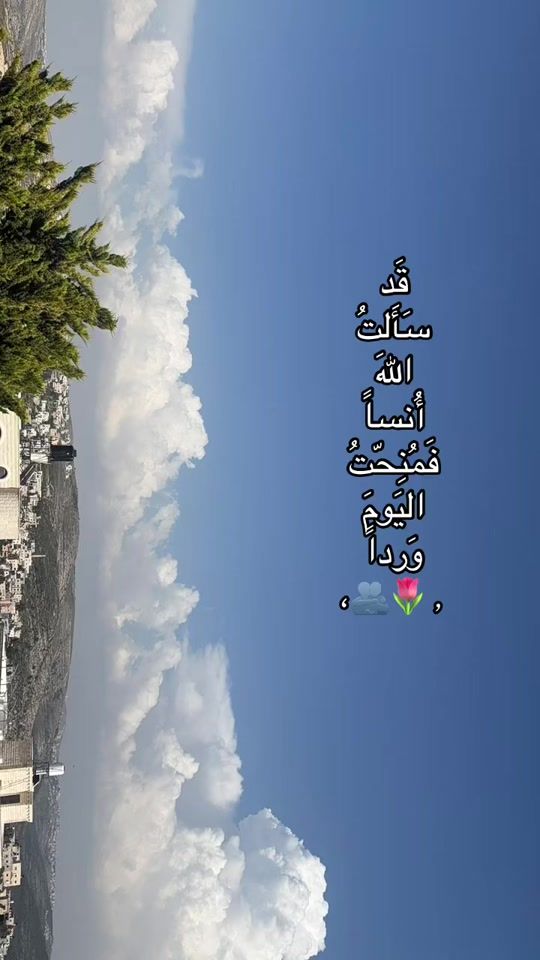 TikTok video thumbnail by dareen.mhareb