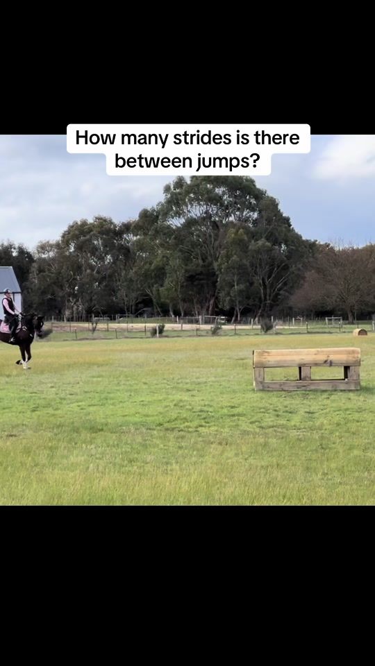 TikTok video thumbnail by eventing_appy1