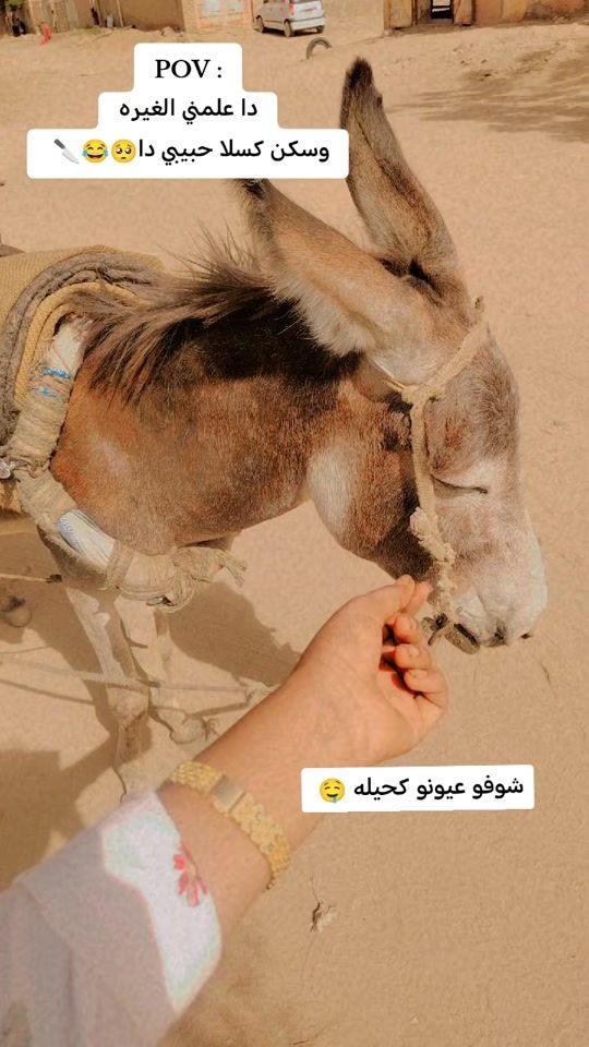 TikTok video thumbnail by nancymohammed72