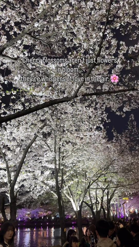 TikTok video thumbnail by lara_7520